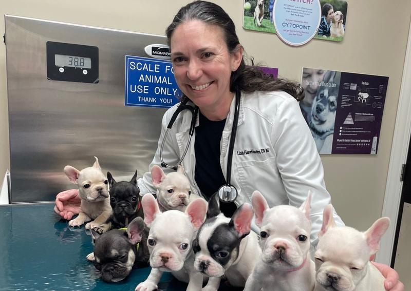 Carousel Slide 5: Meet Dr. Hanel-Sautter