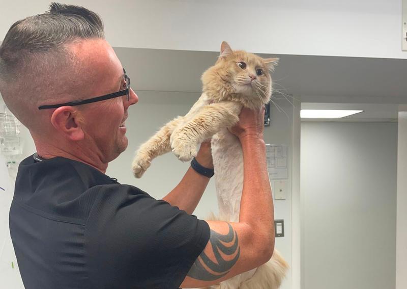 Carousel Slide 3: Meet Dr. Furman