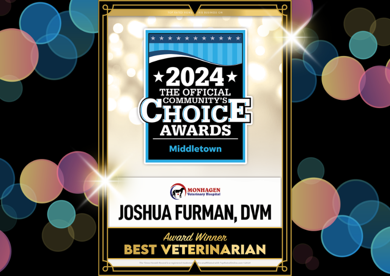 Carousel Slide 1: Learn More >>