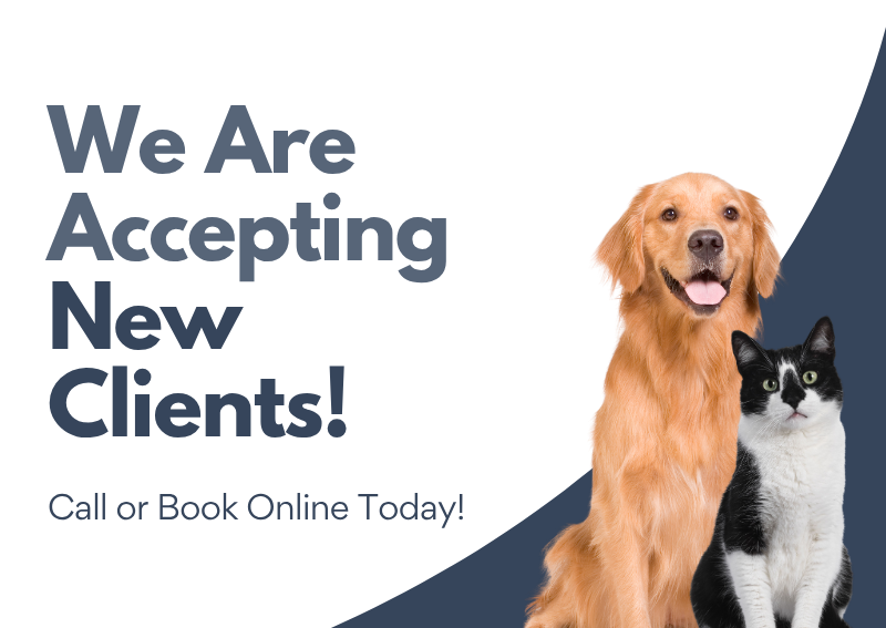 Carousel Slide 1: Book an appointment here>>